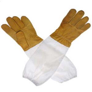 bee gloves