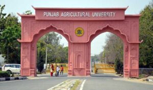 Top 5 Agriculture Colleges - PUNJAB AGRICULTURAL UNIVERSITY, COLLEGE OF AGRICULTURE ENGINEERING & TECHNOLOGY, LUDHIANA