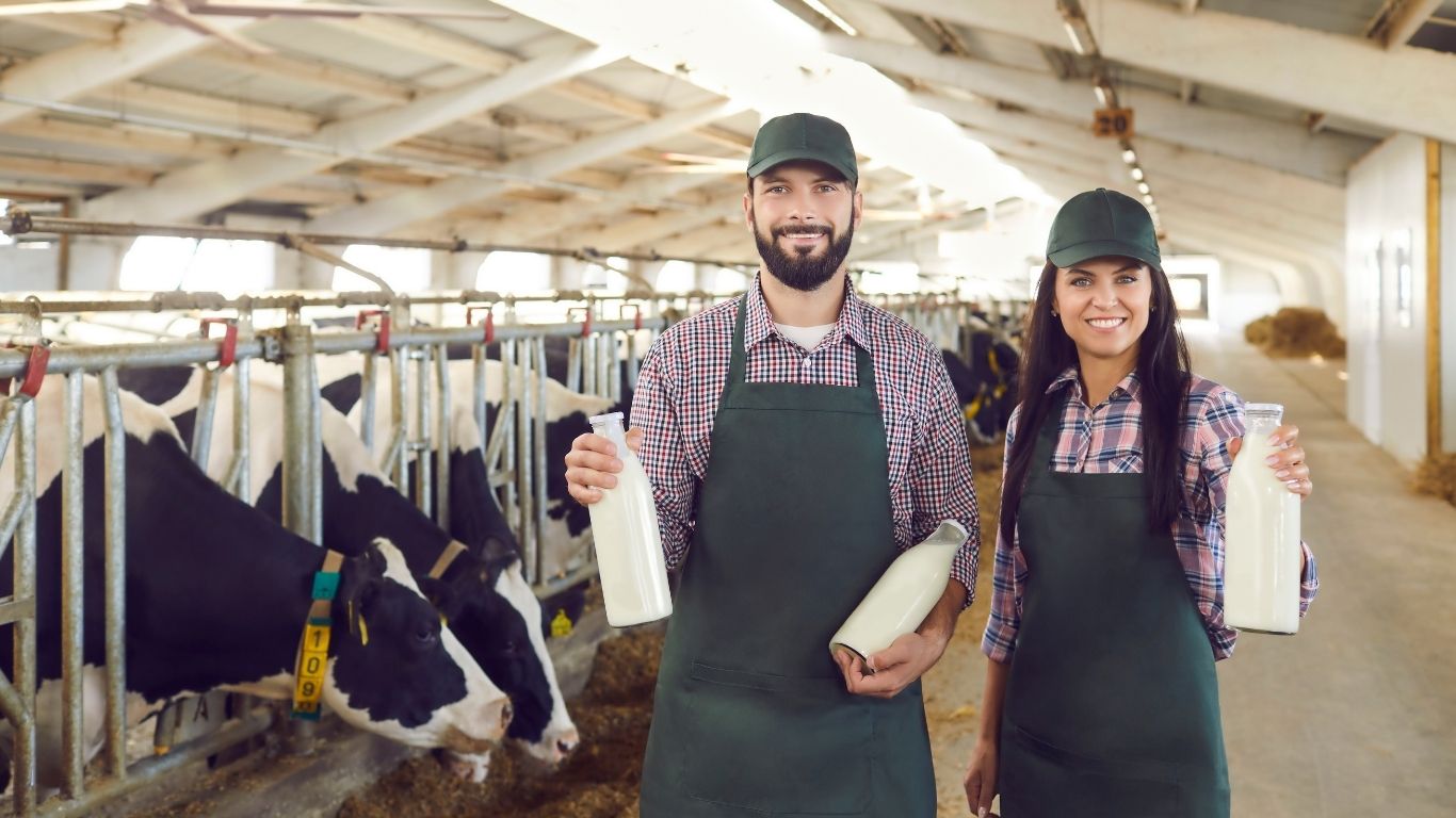 How to Start Dairy Farming 