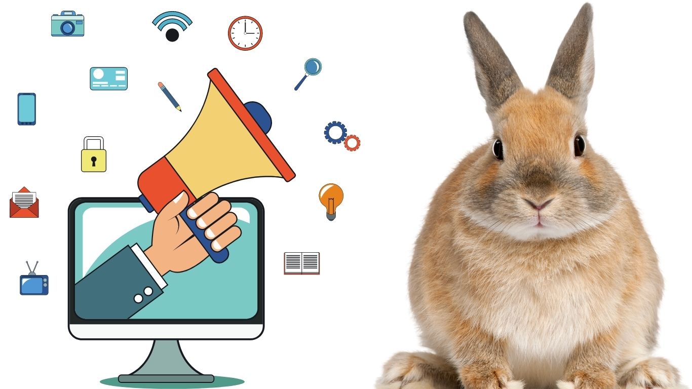 How To Start Rabbit Farming Business Idea 2022