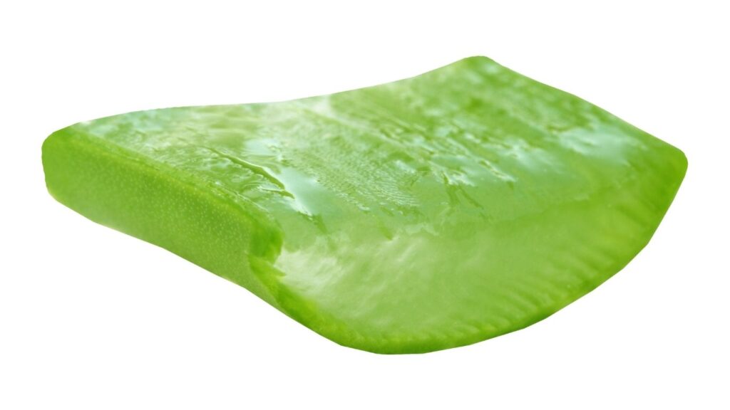How to start Aloe Vera and Gel Business